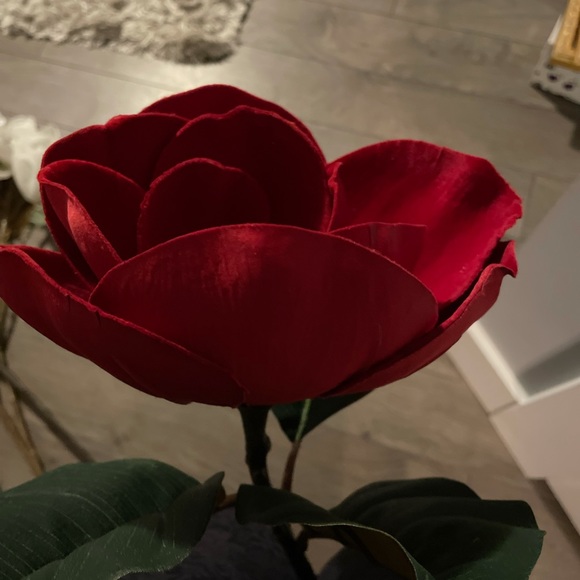 7 XL long stem artificial roses NWOT - Picture 6 of 10